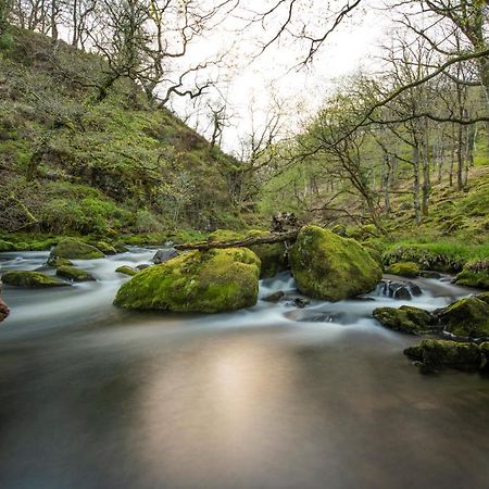 Charming Riverside Cottage In Snowdonia National Park Tanygrisiau Eksteriør bilde
