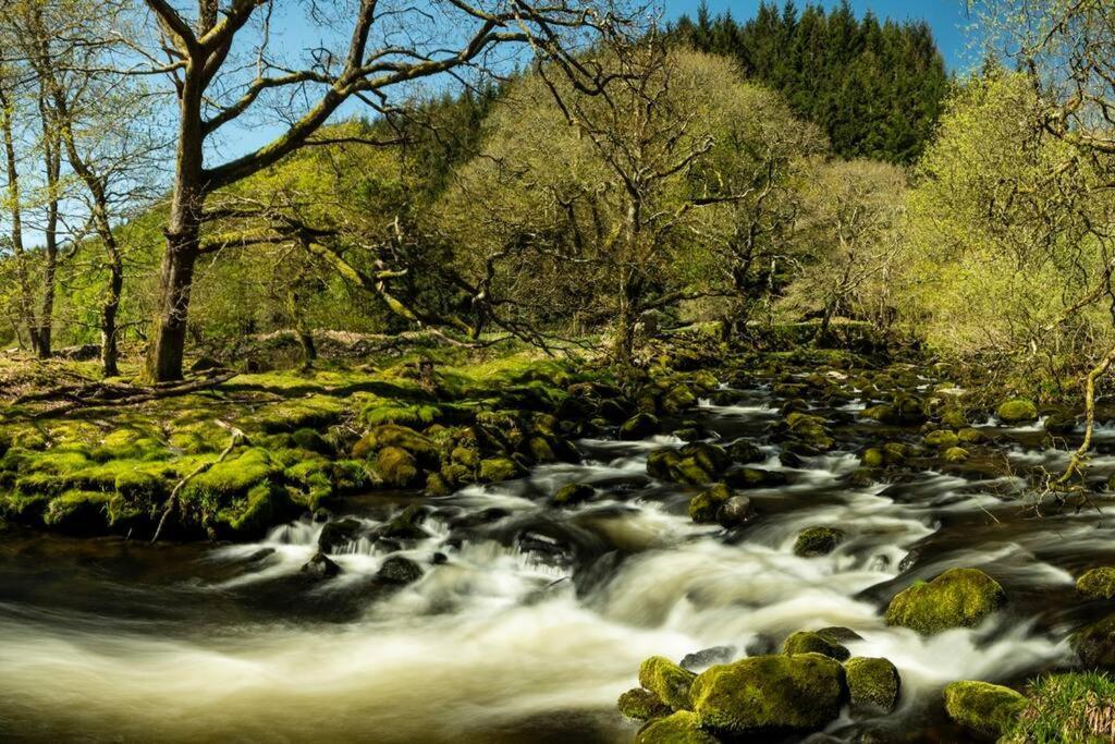 Charming Riverside Cottage In Snowdonia National Park Tanygrisiau Eksteriør bilde