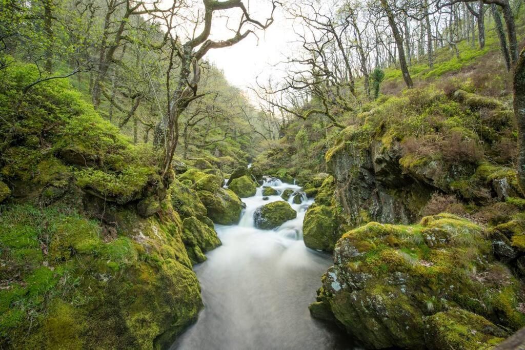 Charming Riverside Cottage In Snowdonia National Park Tanygrisiau Eksteriør bilde