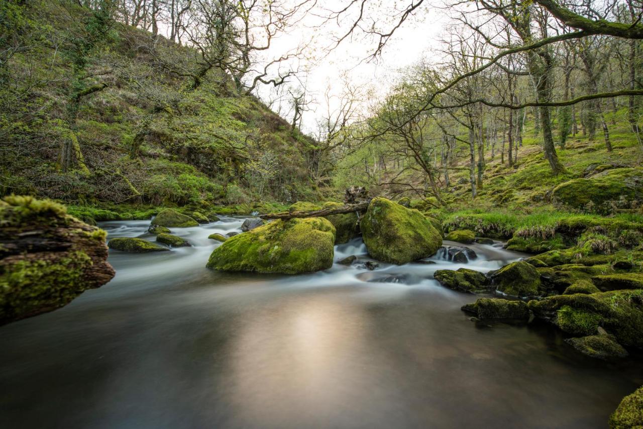 Charming Riverside Cottage In Snowdonia National Park Tanygrisiau Eksteriør bilde